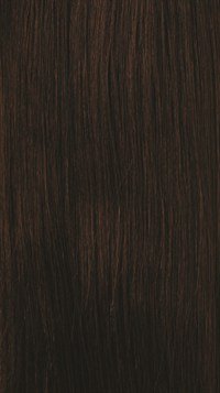 MILKY WAY 100% Human Hair Ponytail - INDIAN JERRY PONY 8" (Wet & Wavy) - 4 LIGHT BROWN