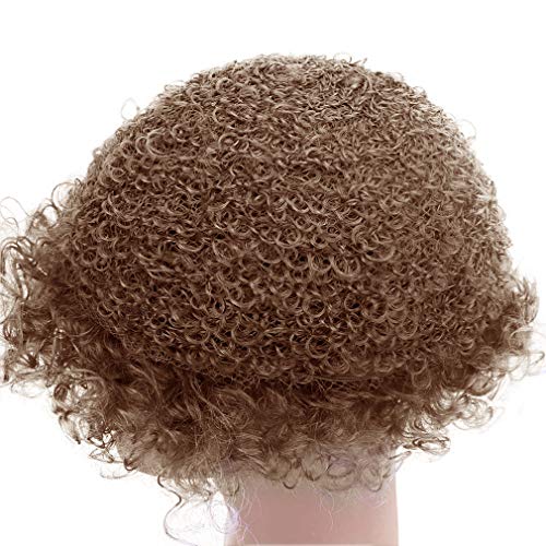 FREE BEAUTY Fluffy Afro Synthetic Clown Wig for Men Women Cosplay Anime Party Christmas Halloween Fancy Funny Wigs (Brown)