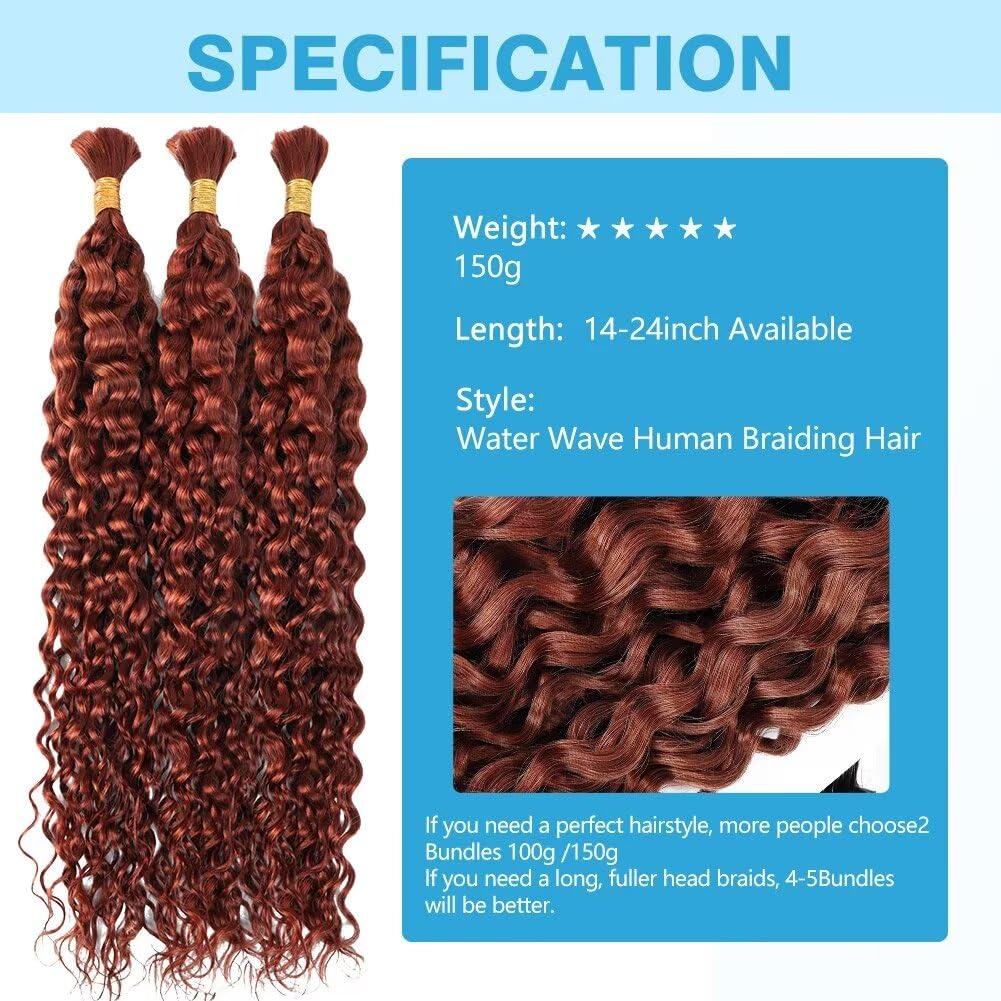Dark Ginger Human Braiding Hair Water Wave Bulk Human Hair 150g 24 Inch Color 350 Curly Human Hair for Boho Braids Hair Extensions No Weft 3 Braids Per Pack Wet and Wavy Human Hair Braiding Hair