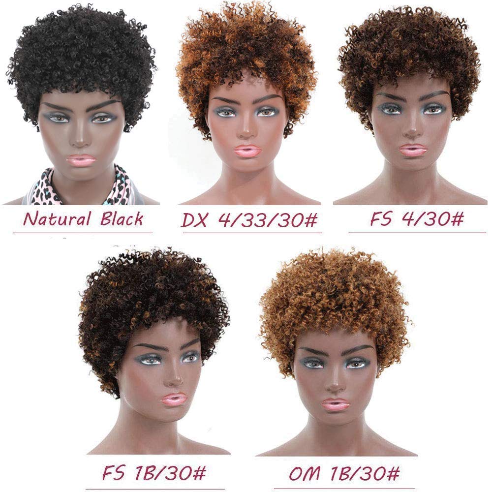 Ms Taj Short Afro Kinky Curly Human Hair Wigs for Black Women Brazilian Virgin Short Curly Afro Wigs None Lace 150% Density Unprocessed Afro Wig Human Hair Curly Machine Made (DX 4/33/30)