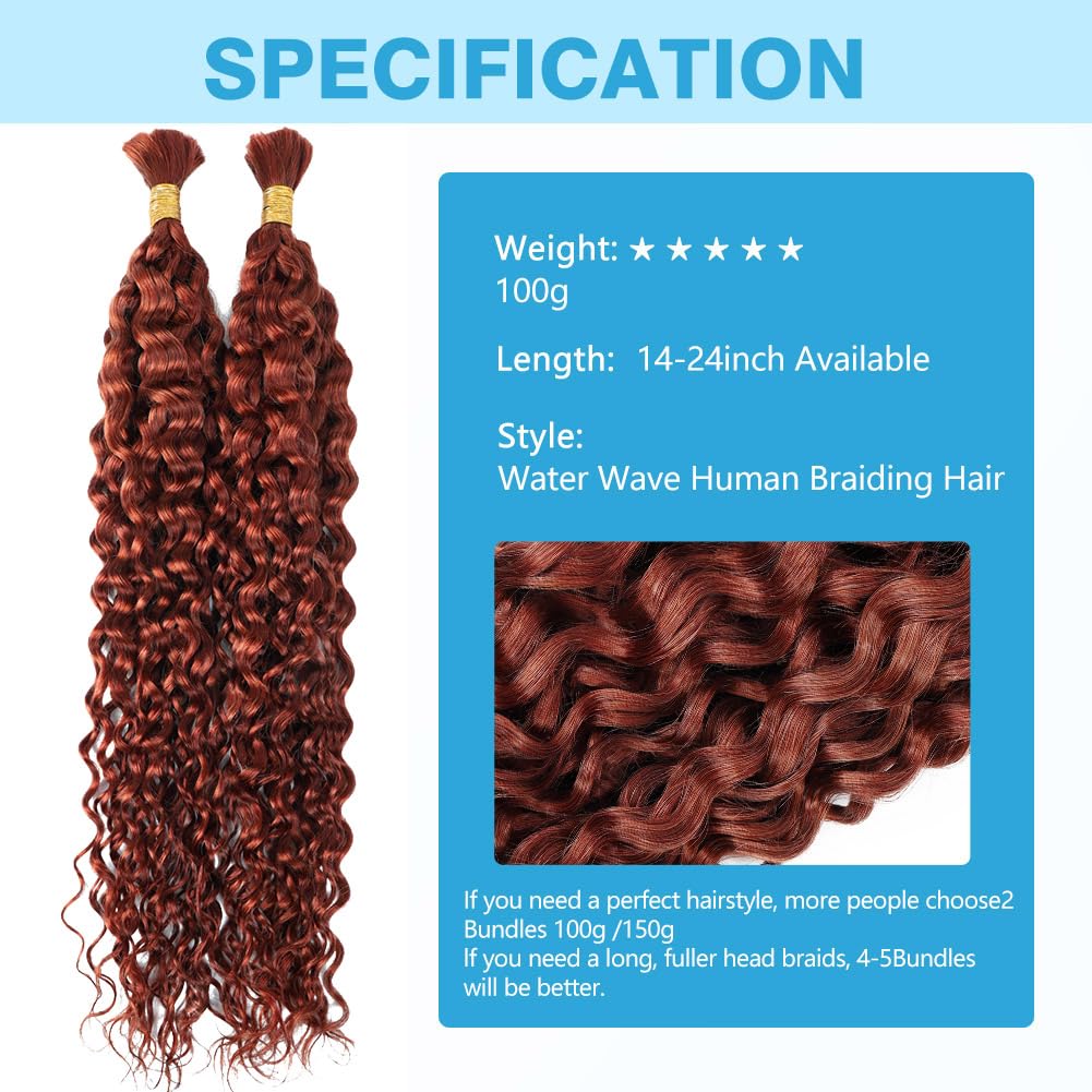 Dark Ginger Human Braiding Hair Water Wave Bulk 100g 24 Inch Color 350 Curly for Boho Braids Hair Extensions No Weft 2 Braids Per Pack Wet and Wavy