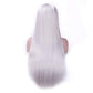 Rosa Star Long Straight Hair Wigs with Flat Bangs Silver Gray Synthetic Wig for Women 26 Inches(88/89#)