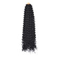 Curly Braiding Hair #1B Natural Black 2PCS 24Inch Ocean Wave Crochet Hair for Black Women Curly Crochet Hair for Boho Braids(24inch,2pack)