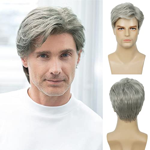 Baruisi Men Wigs Short Gray Synthetic Heat Resistant Natural Halloween Cosplay Hair Wig