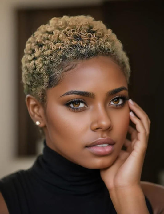 BeiSDWig Short Curly Hair Wig Synthetic Curly Wigs for Black Women African American Women Wigs Short Hairstyle (BeiSDWig-XJ1116)