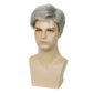 Baruisi Men Wigs Short Gray Synthetic Heat Resistant Natural Halloween Cosplay Hair Wig