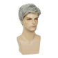 Baruisi Men Wigs Short Gray Synthetic Heat Resistant Natural Halloween Cosplay Hair Wig