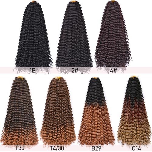 Curly Braiding Hair #1B Natural Black 2PCS 24Inch Ocean Wave Crochet Hair for Black Women Curly Crochet Hair for Boho Braids(24inch,2pack)