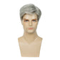 Baruisi Men Wigs Short Gray Synthetic Heat Resistant Natural Halloween Cosplay Hair Wig