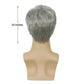 Baruisi Men Wigs Short Gray Synthetic Heat Resistant Natural Halloween Cosplay Hair Wig