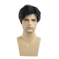 Baruisi Men Wigs Short Black Wig Synthetic Heat Resistant Natural Halloween Cosplay Hair Wig