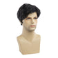 Baruisi Men Wigs Short Black Wig Synthetic Heat Resistant Natural Halloween Cosplay Hair Wig