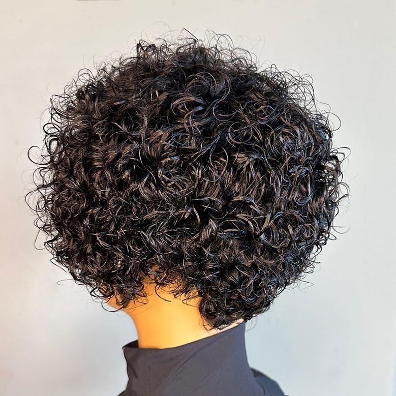 PurpleSexy Chic Elegent Pixie Cut Wigs for Black Women 8inch 180% Density Short Layered Pixie Cut Curly Wigs With Bangs Glueless Brazilian Virgin Curly Human Hair
