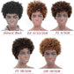 Ms Taj Short Afro Kinky Curly Human Hair Wigs for Black Women Brazilian Virgin Short Curly Afro Wigs None Lace 150% Density Unprocessed Afro Wig Human Hair Curly Machine Made (DX 4/33/30)