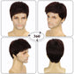 TOPHR Short Mens Wig Handsome Reddish Brown 6 Inch Heat Resistant Synthetic Straight Male Wigs for Daily Costumes or Halloween Wear