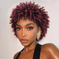 WIGER Soft Faux Locs Hair Wigs Twisted Short Dreadlock Wig for Black Women And Men Ombre BUG Afro Curly Braided Wigs Glueless Afro Kinky Twist Wigs Synthetic Short Dreads Wig