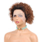 Czrleaty Ombre Ginger Pixie Cut Wigs Human Hair Short Curly Lace Front Wig Ombre Ginger 13X1 Pixie Wig For Black Women 150% Density