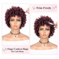 WIGER Soft Faux Locs Hair Wigs Twisted Short Dreadlock Wig for Black Women And Men Ombre BUG Afro Curly Braided Wigs Glueless Afro Kinky Twist Wigs Synthetic Short Dreads Wig