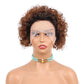 Czrleaty Ombre Ginger Pixie Cut Wigs Human Hair Short Curly Lace Front Wig Ombre Ginger 13X1 Pixie Wig For Black Women 150% Density