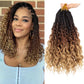 COOKOO 12 Inch Boho Box Braids Crochet Hair for Black Women 8 Pack Synthetic Pre Looped Bohemian Goddess Box Braids Crochet Hair Curly Ends Ombre Brown Braiding Hair 53#