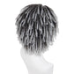 GNIMEGIL Mens Dreadlock Wig Cosplay Ombre Grey Curly Hairstyle Male Fake Dreads Hair Loc Short Braided Wig with Bangs Realistic Twist Rasta Wigs Funny Dress Up Costume Party