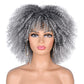 ANNISOUL 10Inch Short Curly Afro Wigs for Black Women Bomb Afro Kinky Curly Wig with Bangs Synthetic Fiber Full Wig(Ombre Grey)